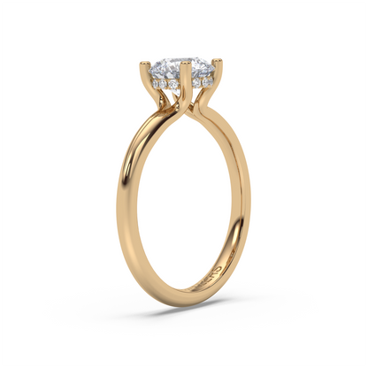 Aura Veil - Hidden Halo