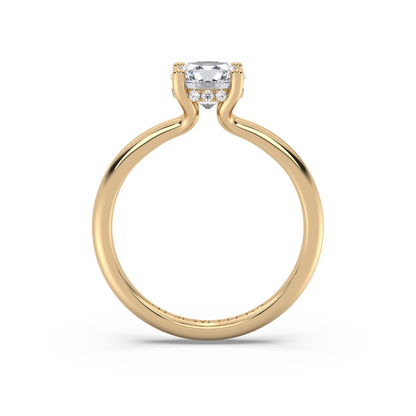 Aura Veil - Hidden Halo