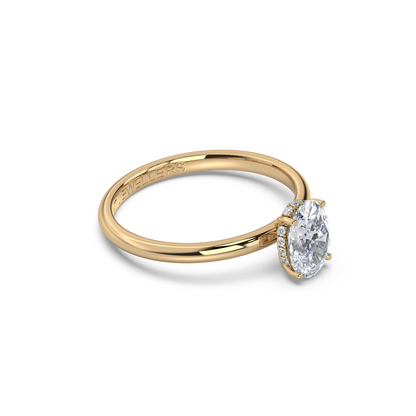 Haylie Veil - Hidden Halo - NT JEWELLERS