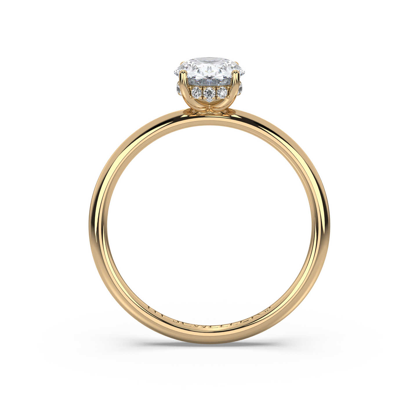 Haylie Veil - Hidden Halo - NT JEWELLERS