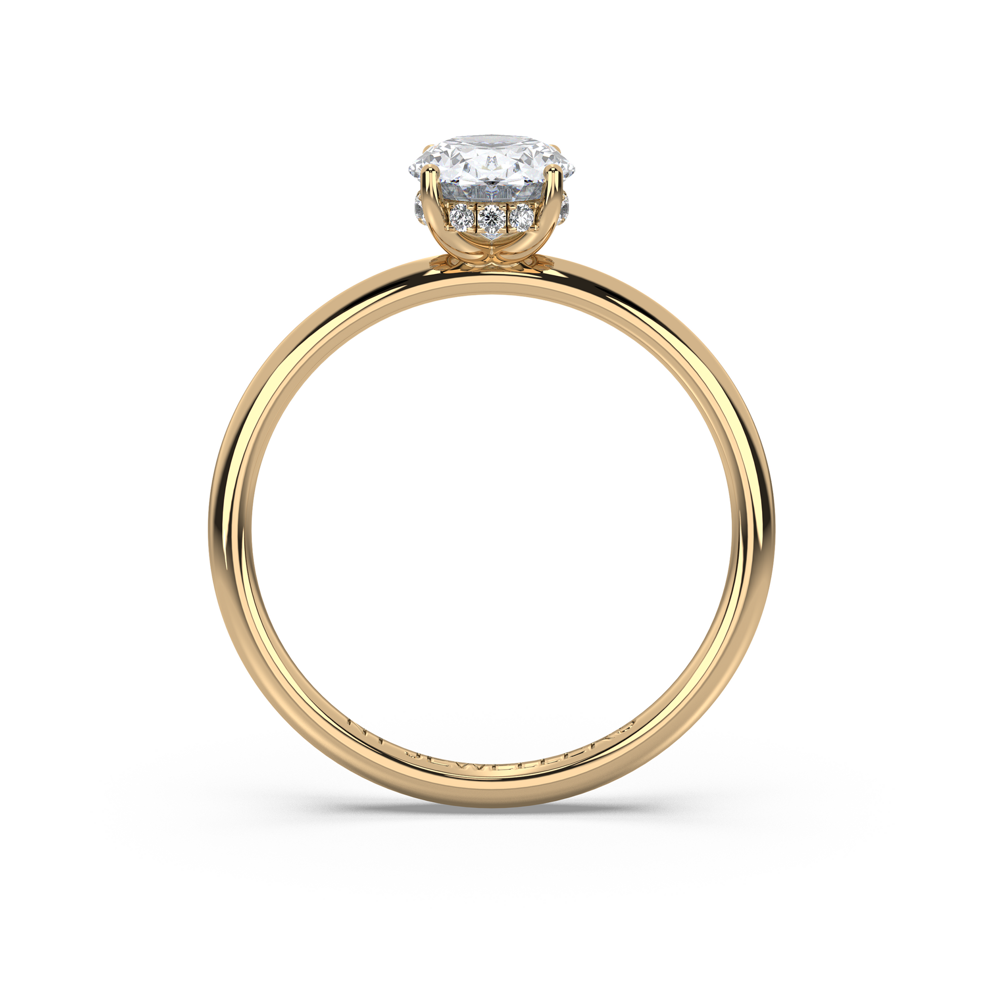 Haylie Veil - Hidden Halo - NT JEWELLERS