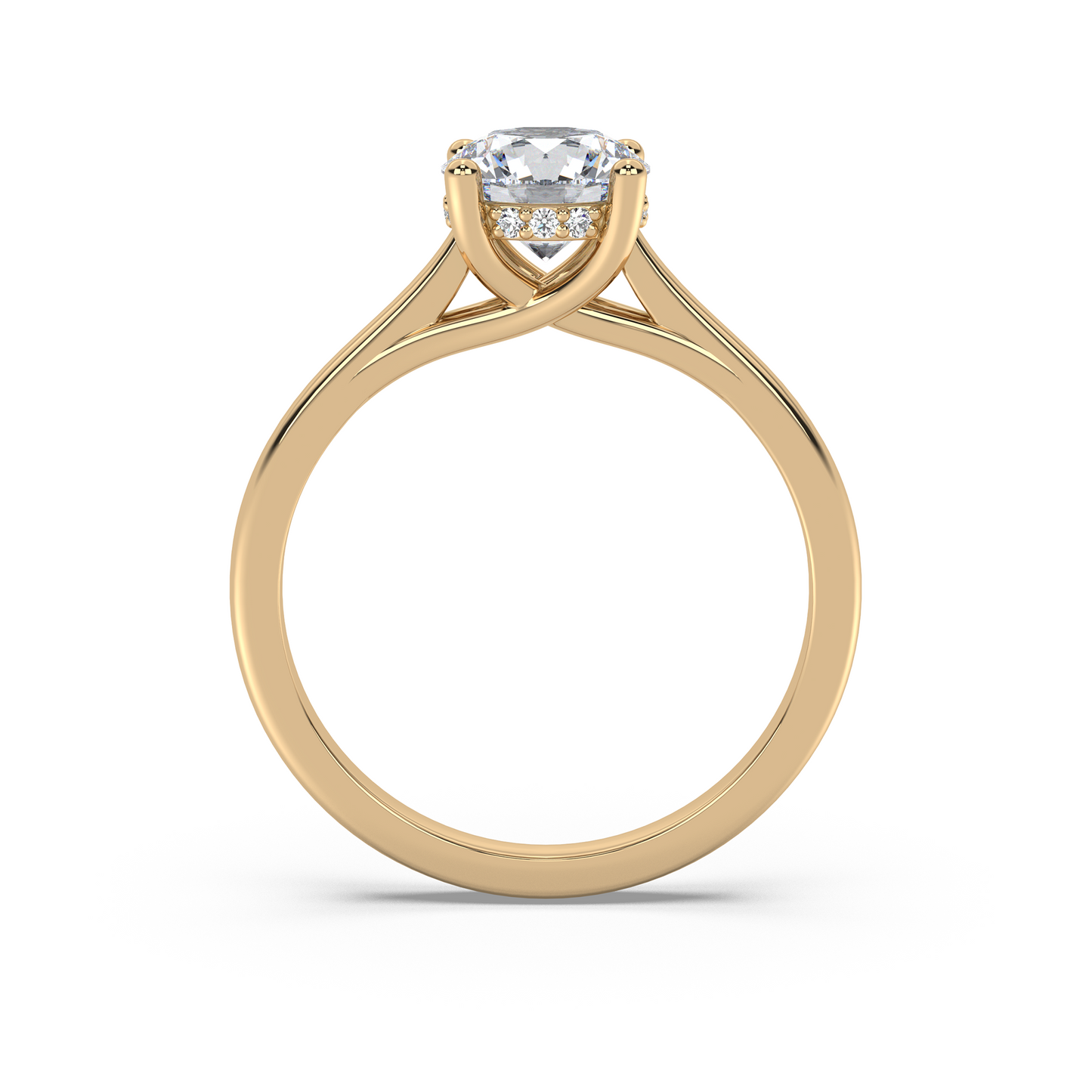 Unity Veil - Hidden Halo - NT JEWELLERS